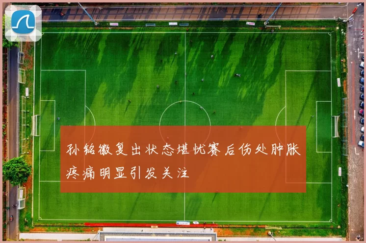 孙铭徽复出状态堪忧赛后伤处肿胀疼痛明显引发关注